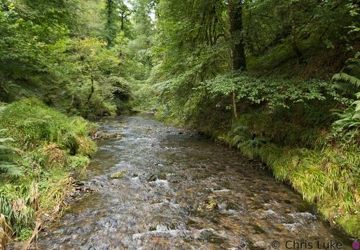 05-Lydford Gorge - display this album 05-Lydford Gorge
