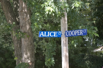 AliceCooperCt